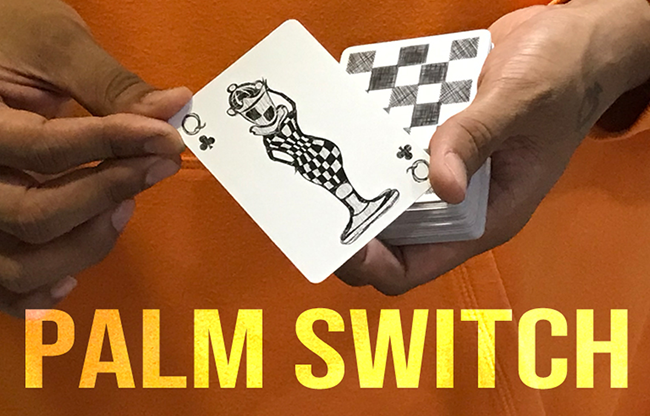 Magic Encarta Presents Palm Switch & Palm Control by Vivek Singhi