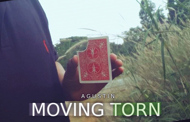 Moving Torn by Agustin video DOWNLOAD