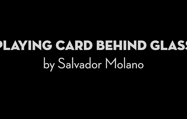 Playing Card Behind Glass by Salvador Molano video DOWNLOAD