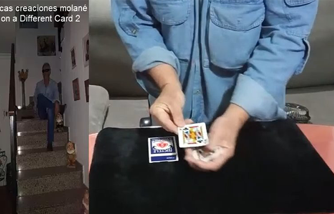 Bet On A Different Card 2 by Salvador Molano