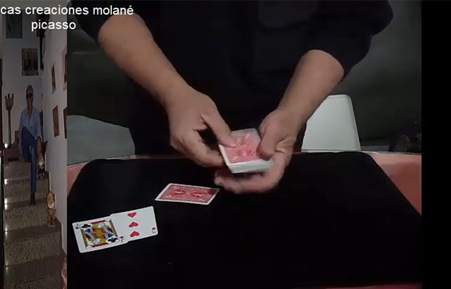 Picasso by Salvador Molano video DOWNLOAD