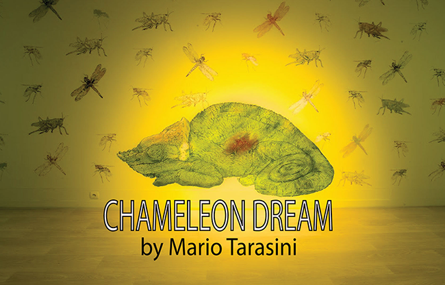 Chameleon Dream by Mario Tarasini video DOWNLOAD
