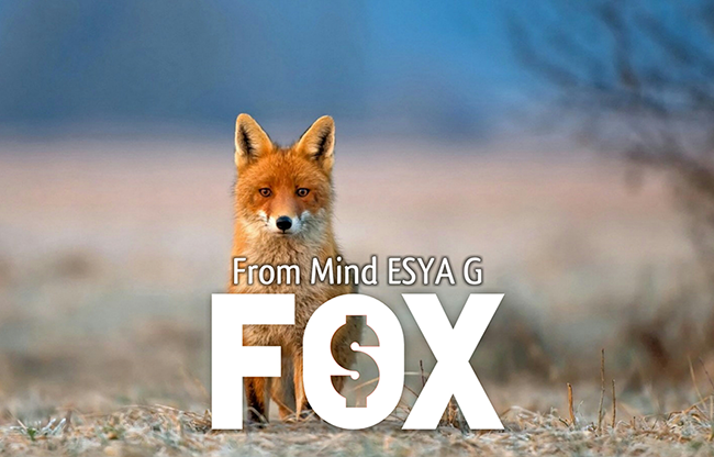 FOX by Esya G video DOWNLOAD