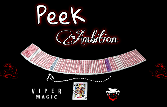 Women's Leather Handbag (Black)