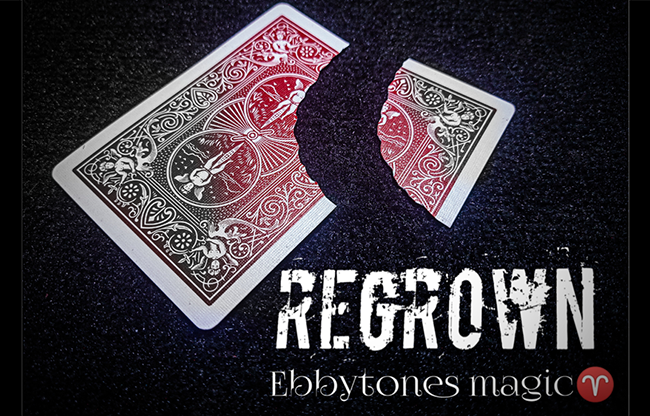 Regrown by Ebbytones video DOWNLOAD