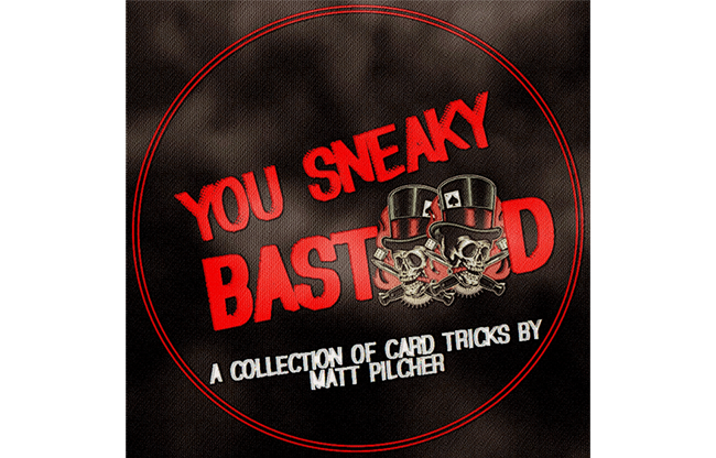 YOU SNEAKY BAST**D By Matt Pilcher eBook DOWNLOAD