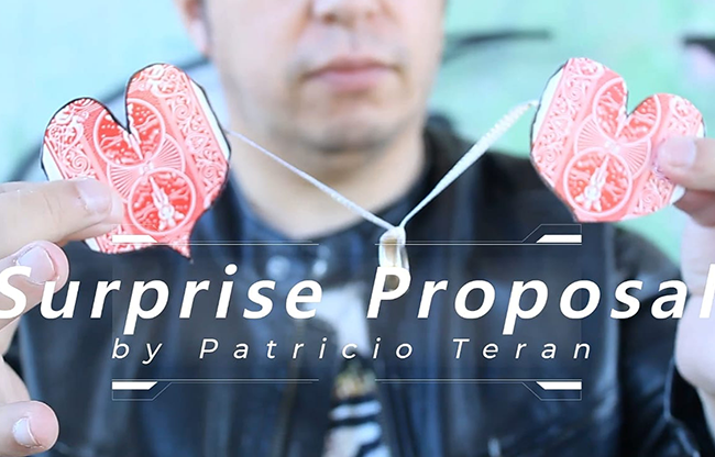 Surprise Proposal by Patricio Teran video DOWNLOAD