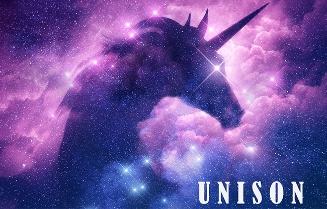 UNISON by Dibya Guha ebook DOWNLOAD