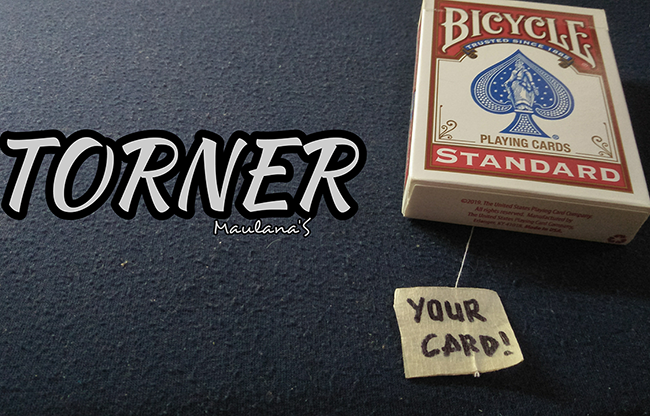 Torner by Maulanas video DOWNLOAD