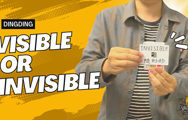 The Vault - Visible or Invisible by Dingding video DOWNLOAD