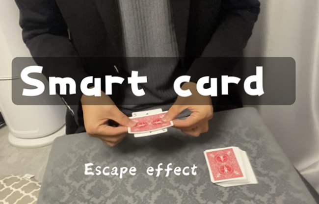 Smart Card by Dingding video DOWNLOAD
