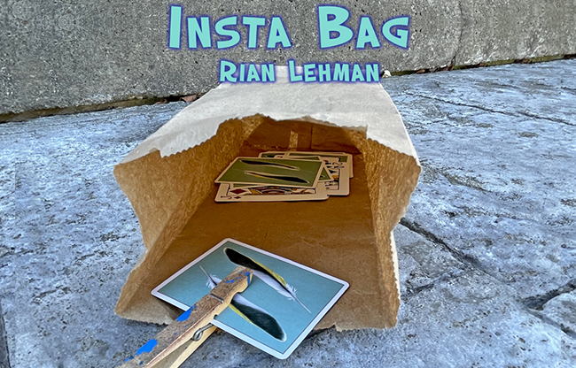 Insta Bag by Rian Lehman video DOWNLOAD