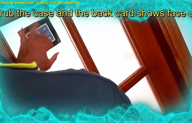 Playing Card in the Window Frame by Salvador Molano video DOWNLOAD
