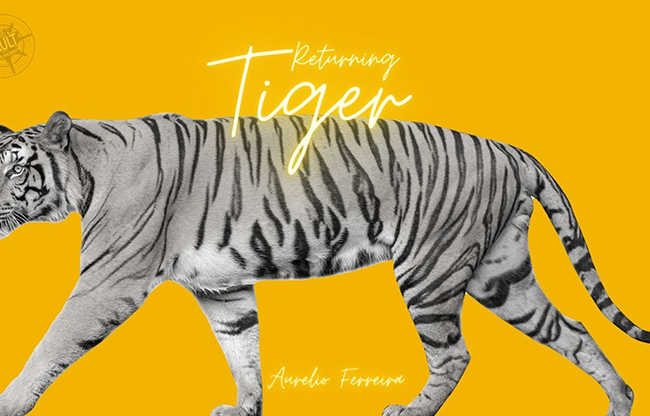 The Vault - Returning Tiger by Aurelio Ferreira video DOWNLOAD