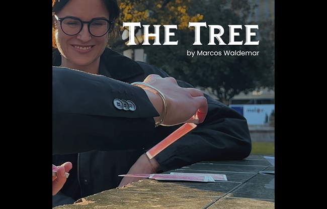 THE TREE by Marcos Waldemar & Invisible Compass video DOWNLOAD