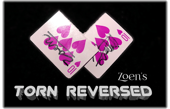 Torn Reversed by Zoen's video DOWNLOAD
