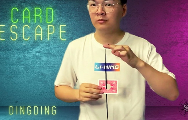 The Vault - Card Escape by Dingding video DOWNLOAD