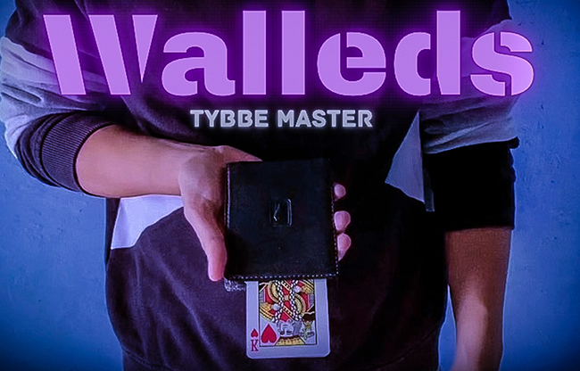 Walleds by Tybbe Master video DOWNLOAD