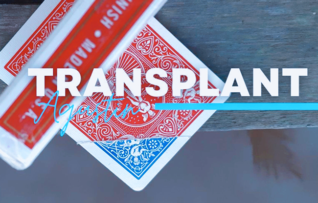 Transplant by Agustin video DOWNLOAD