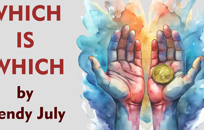 Which is Which by Hendy July eBook DOWNLOAD