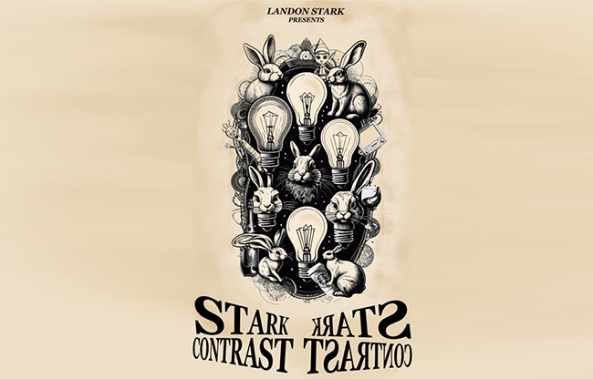 The Stark Contrast by Landon Stark eBook DOWNLOAD